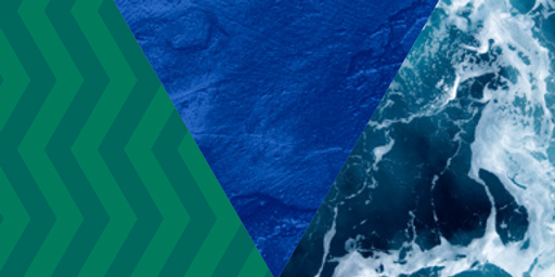 Sustainability statements 2024