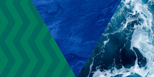 Sustainability statements 2024